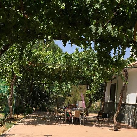 Casa De Ines Villa Alhama de Granada Exteriör bild
